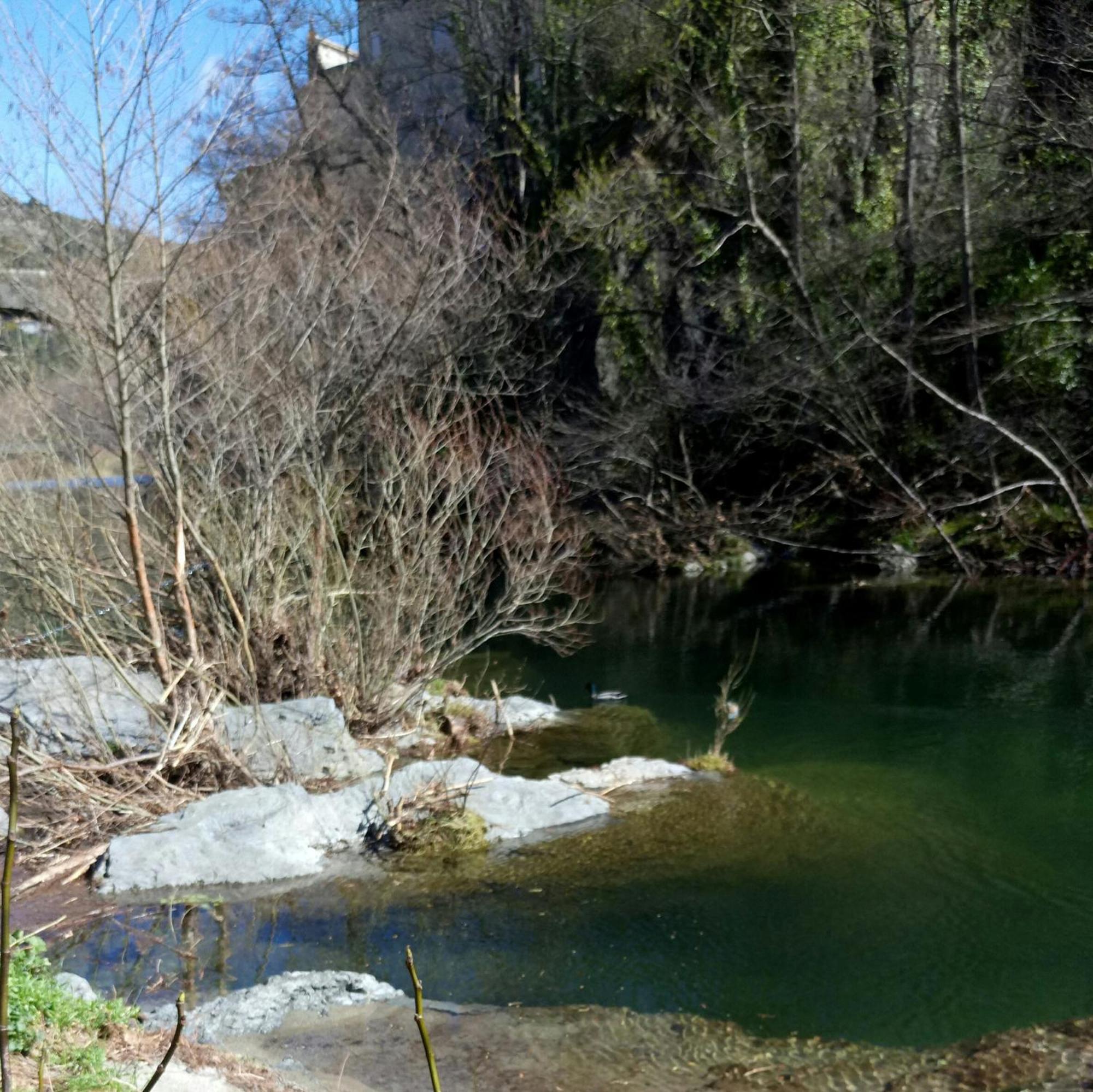Le Moulin Aux Chandelles 2, Vacances & W-E, Vues Riviere, Montagne & Ville, Tout Confort Deconnecte, Eclairage Bougies, Connexions A 200M Au Centre Le Vigan Gite Les Amoureux De L'Arre, Randonnee Chemin De Saint-Guilhem-Le-Desert, Lire Profil Avant R المظهر الخارجي الصورة