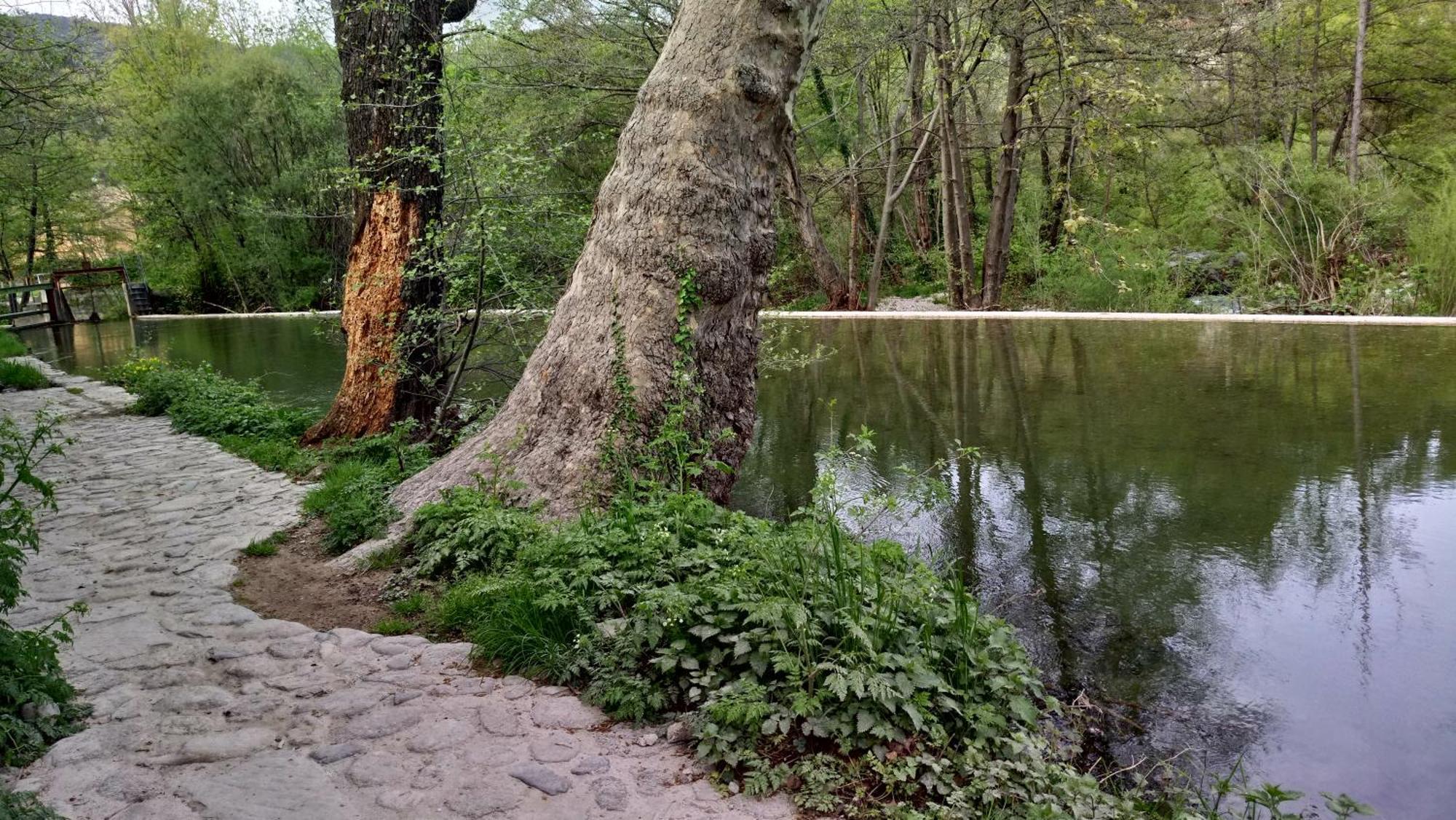 Le Moulin Aux Chandelles 2, Vacances & W-E, Vues Riviere, Montagne & Ville, Tout Confort Deconnecte, Eclairage Bougies, Connexions A 200M Au Centre Le Vigan Gite Les Amoureux De L'Arre, Randonnee Chemin De Saint-Guilhem-Le-Desert, Lire Profil Avant R المظهر الخارجي الصورة